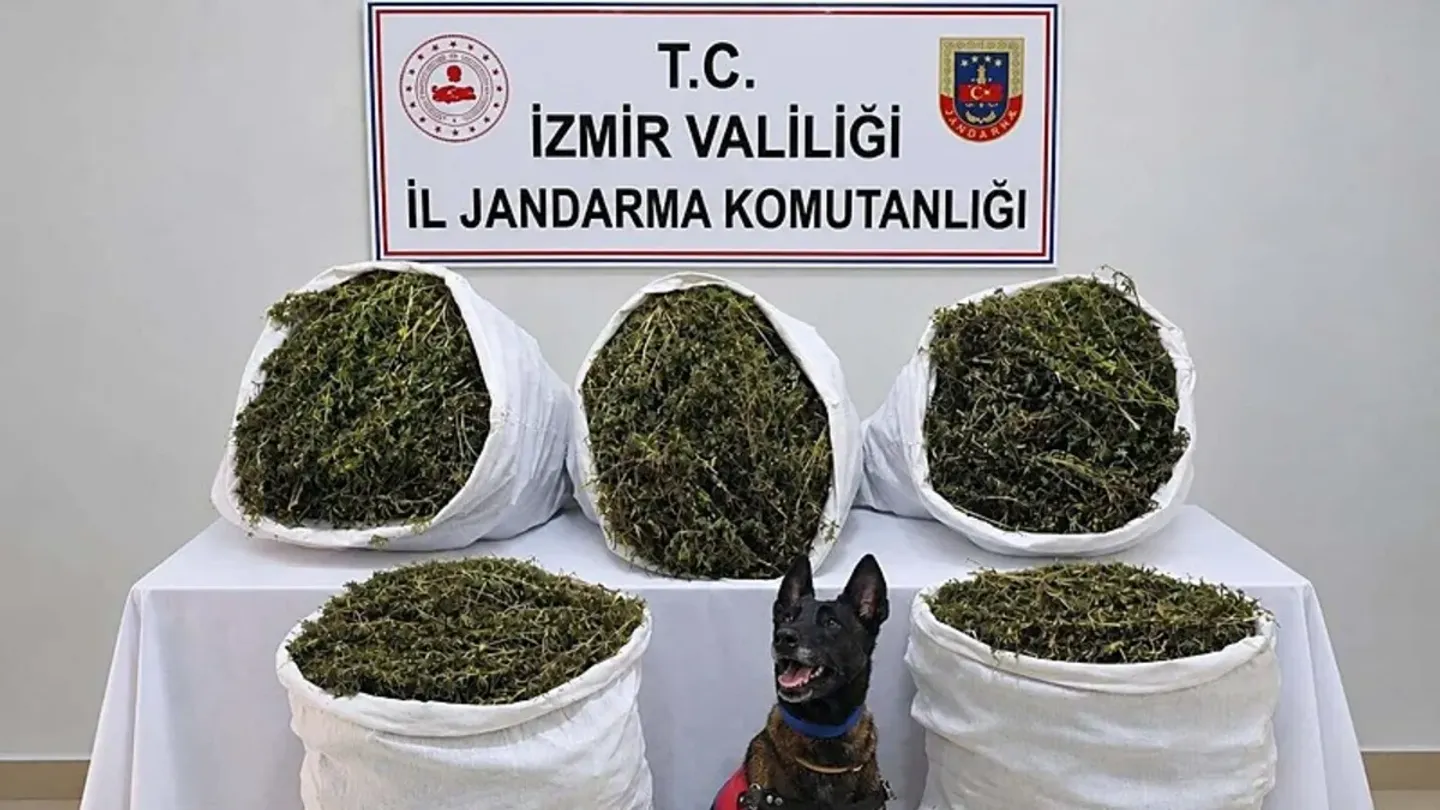 İzmir’de Uyuşturucu Operasyonu! 54,8 Kilo Esrar Ele Geçirildi, 3 Tutuklama