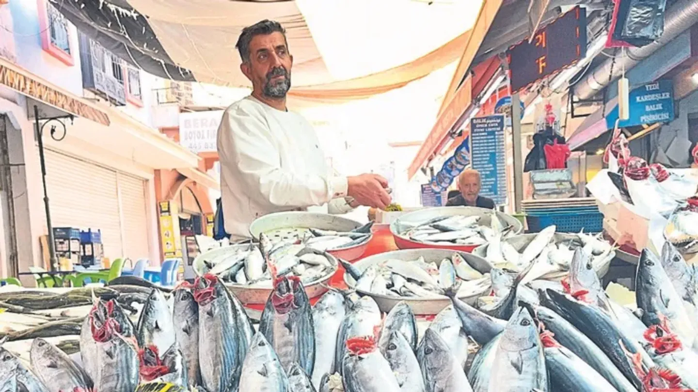İzmir’de balık bereketi tezgâhlara yansıdı: Palamut 100 liraya düştü