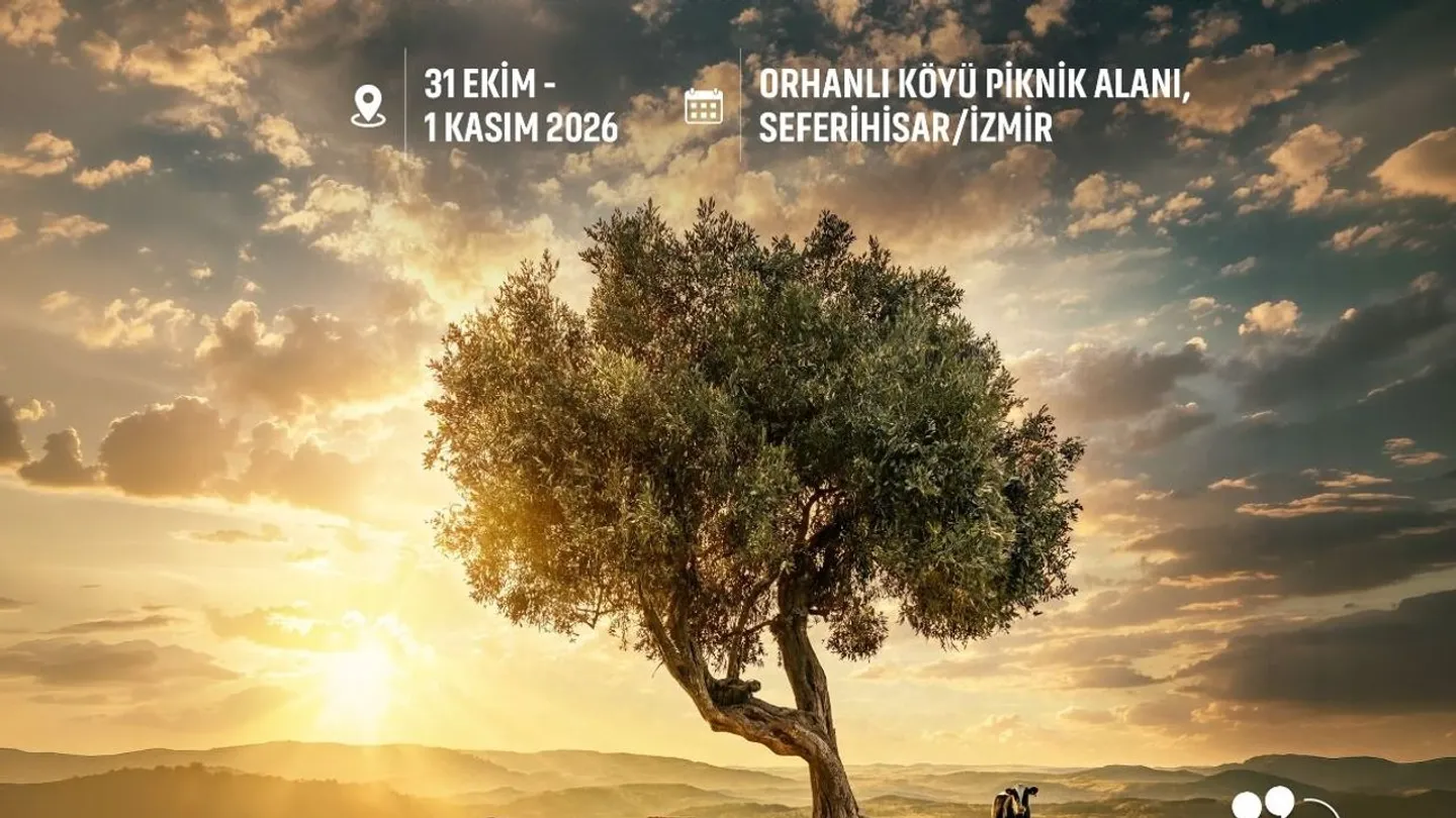 Seferihisar’da Zeytin Bayramı Başlıyor! Erkence Festivali İçin Geri Sayım