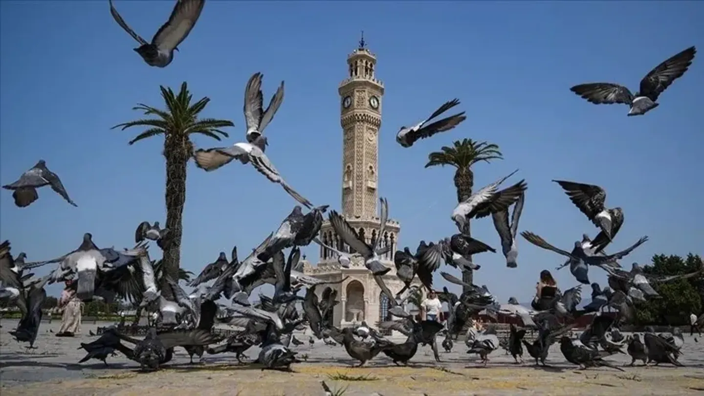 Kimi sakinlik arıyor kimi hareket... İzmir'in en sevilen ilçeleri belli oldu