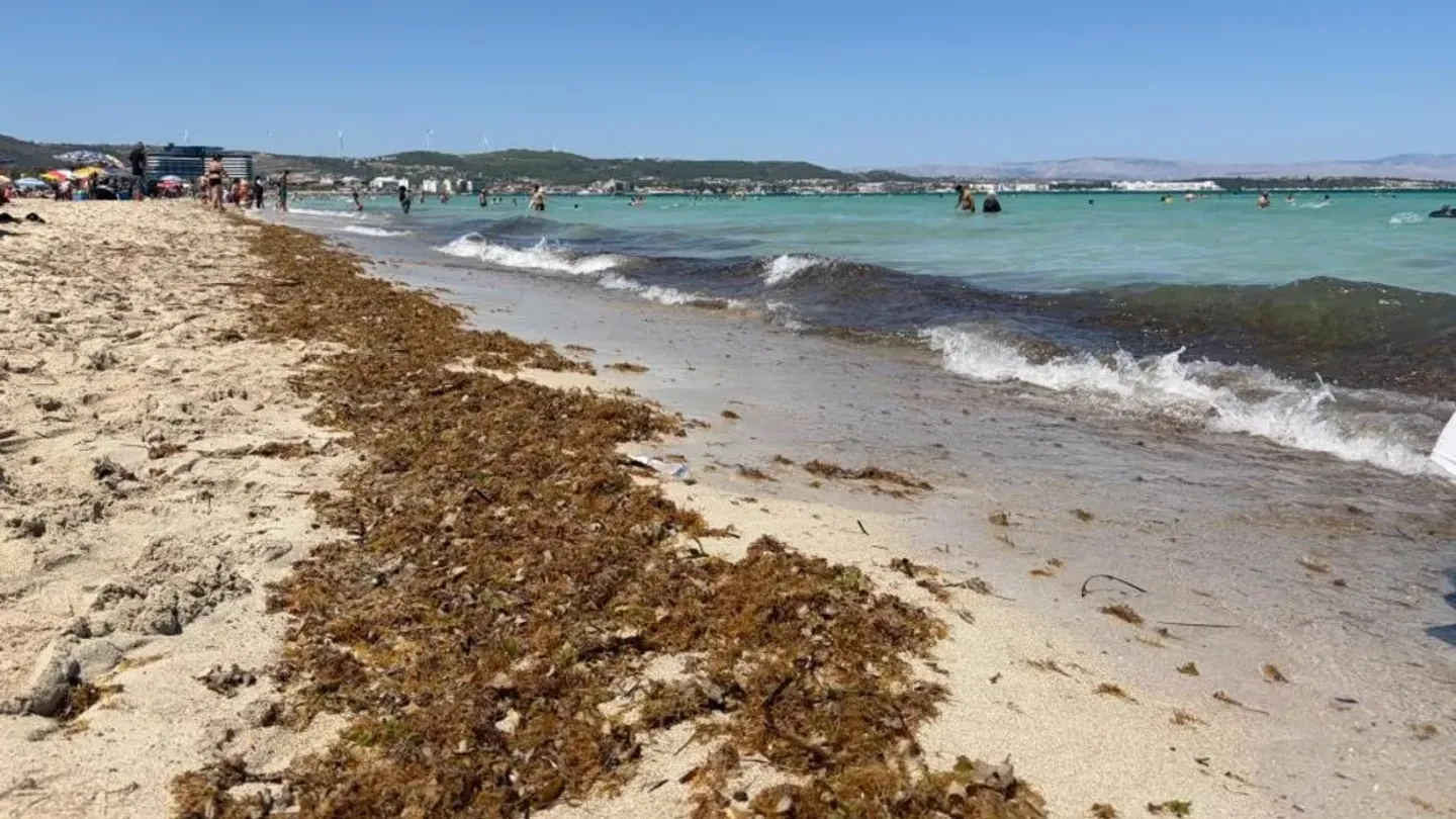 Çeşme Ilıca Plajı'nda Tepki Çeken Manzara: Tatilciler İsyan Etti, Kirlilik Şaşkına Çevirdi!
