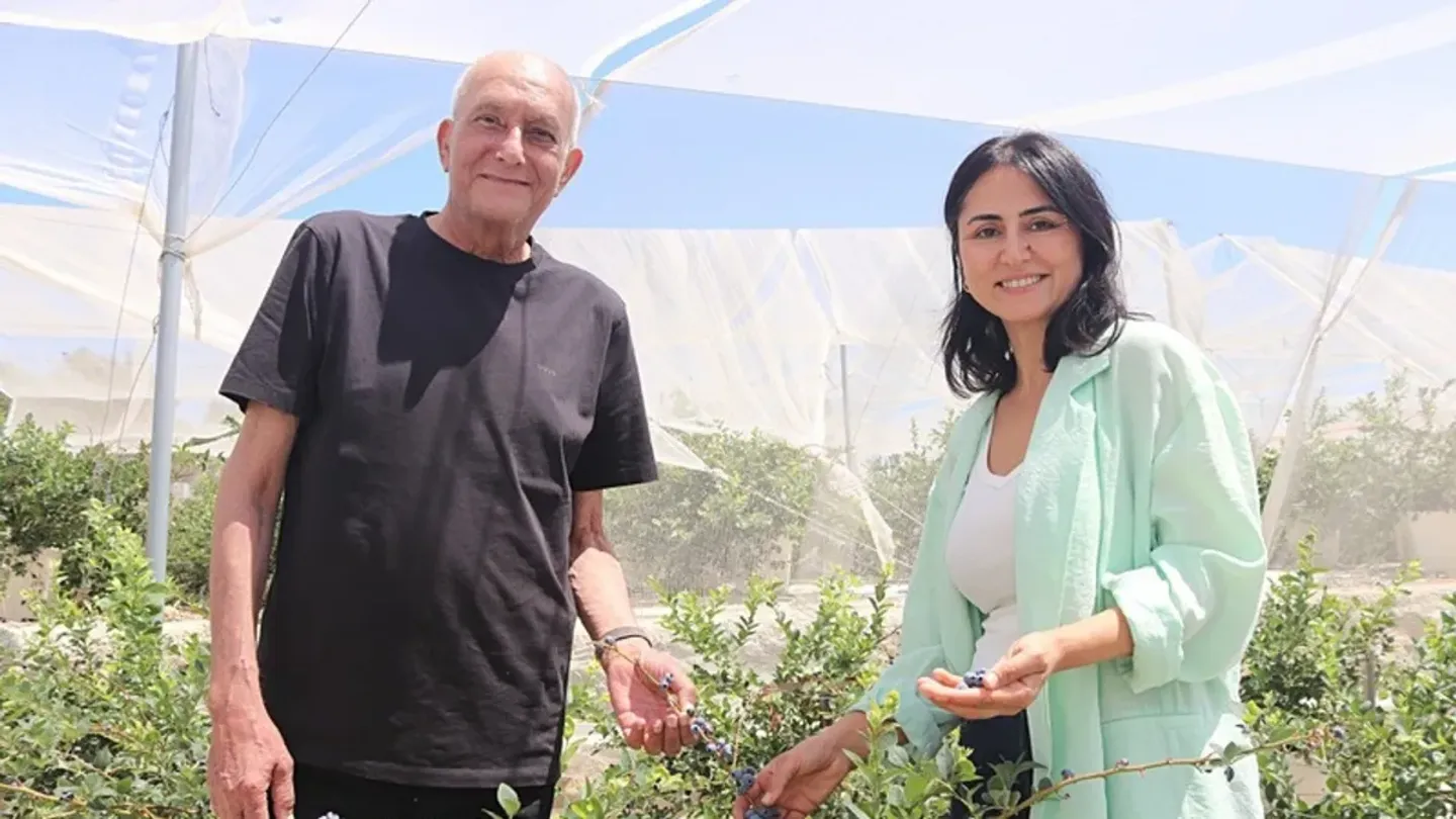 Plazayı bıraktılar çiftlik kurdular