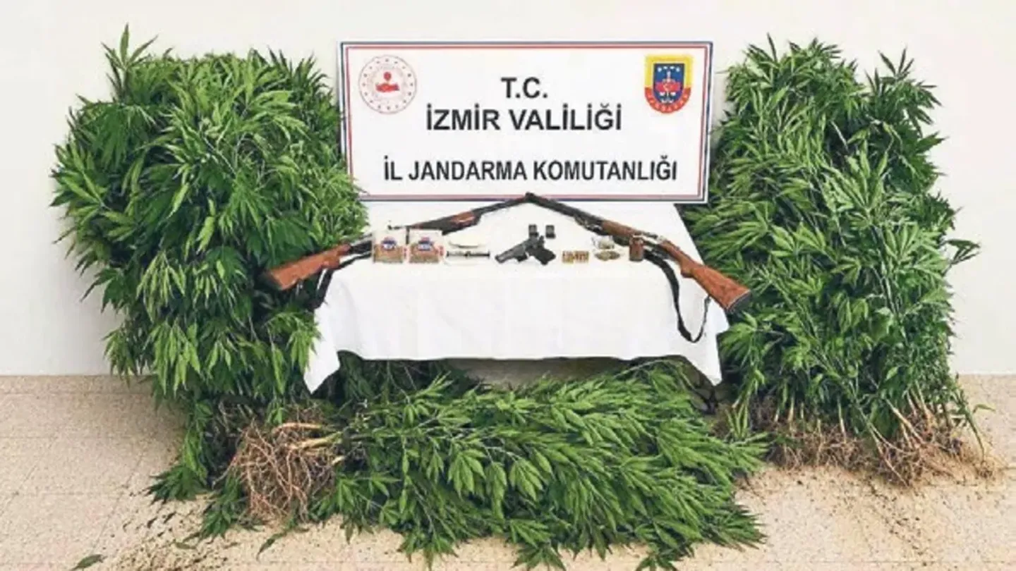 Uyuşturucu yetiştiricisi fotokapana yakalandı