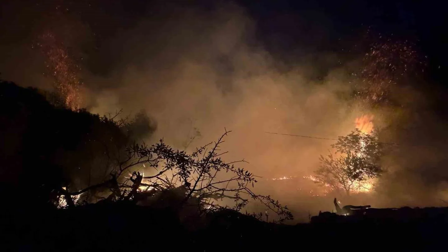 Ödemiş’te Orman Yangını Paniği! Alevler Büyümeden Kontrol Altına Alındı