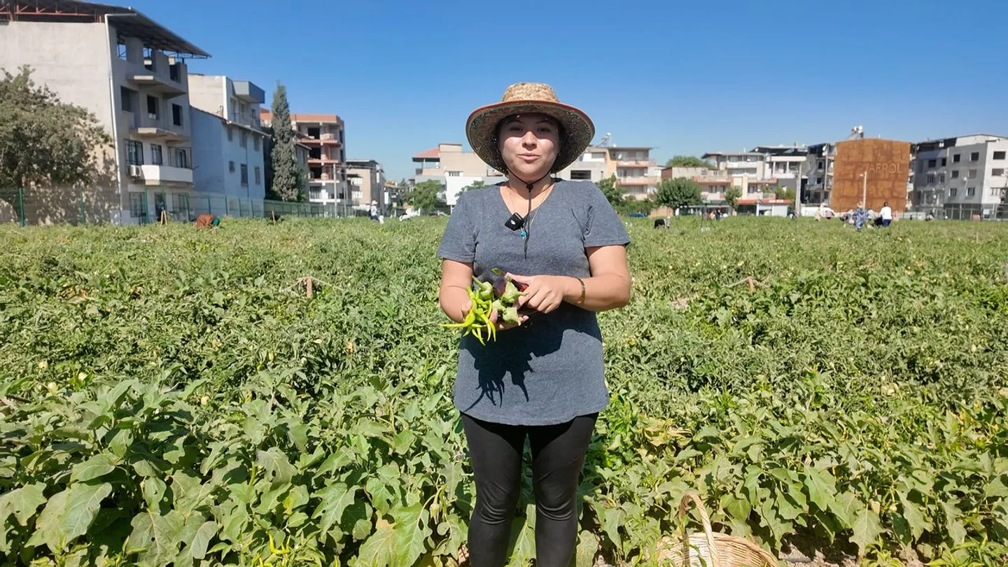 Bornova'da Kent Bostanı ağı büyüyor: 786 kadın üretime katılıyor