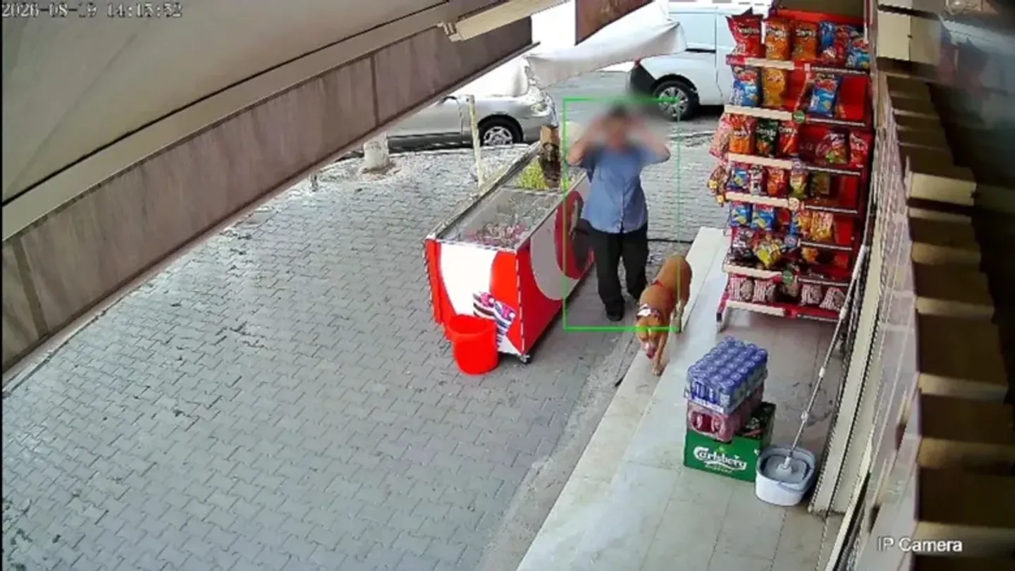 Karşıyaka’da Pitbull Dehşeti: Kadının Parmağı Koptu