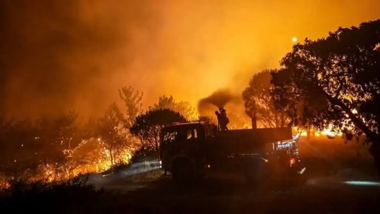 Balıkesir’deki orman yangınına ilişkin flaş gelişme: Kasten yakma iddiası ile 2 kişi tutuklandı
