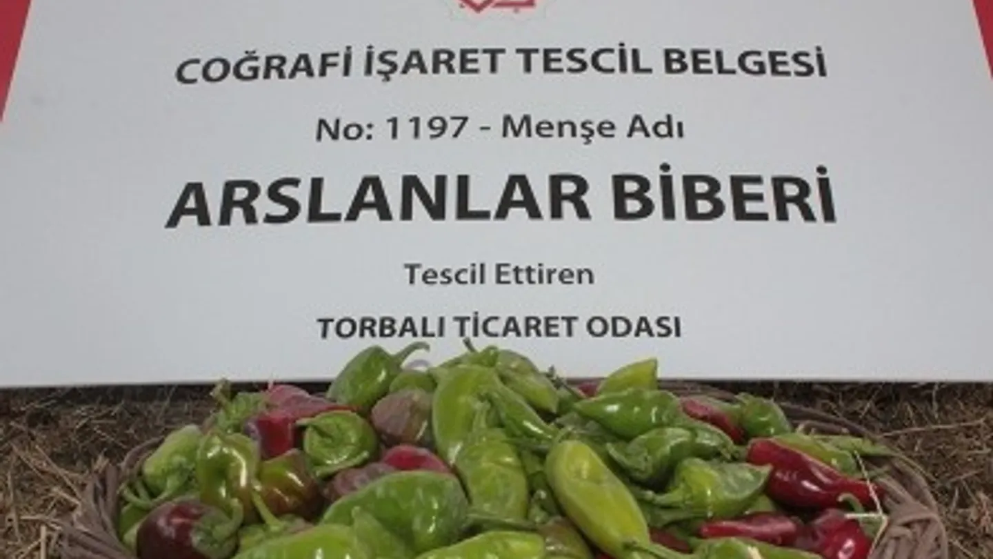 İzmir'in 130 yıllık acı mirası dünyaya açılıyor! İtalyanlar ata tohumunun peşine düştü