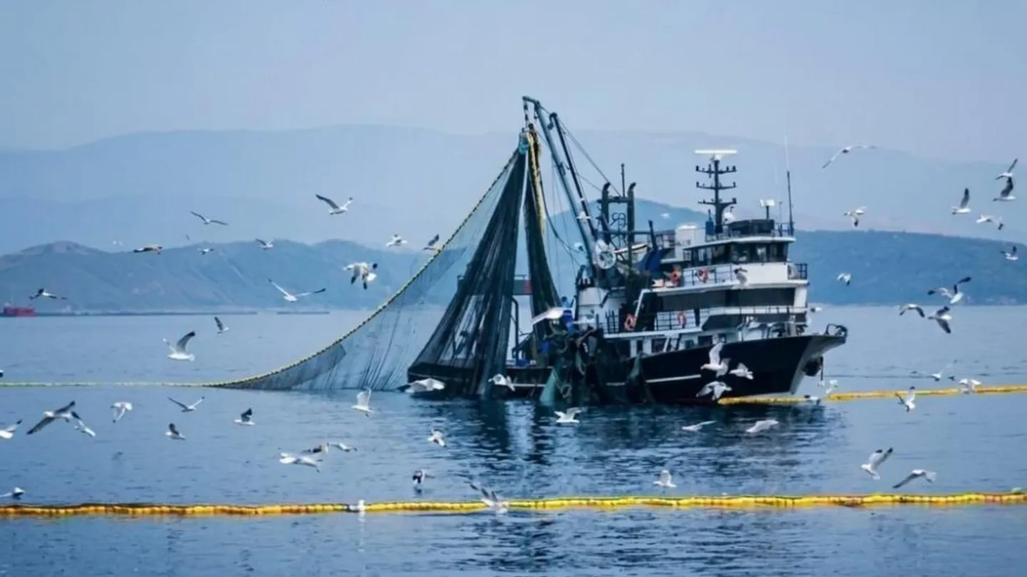 İzmir’de balıkçılar “Vira Bismillah” diyecek! Av sezonu Güzelbahçe’den açılıyor