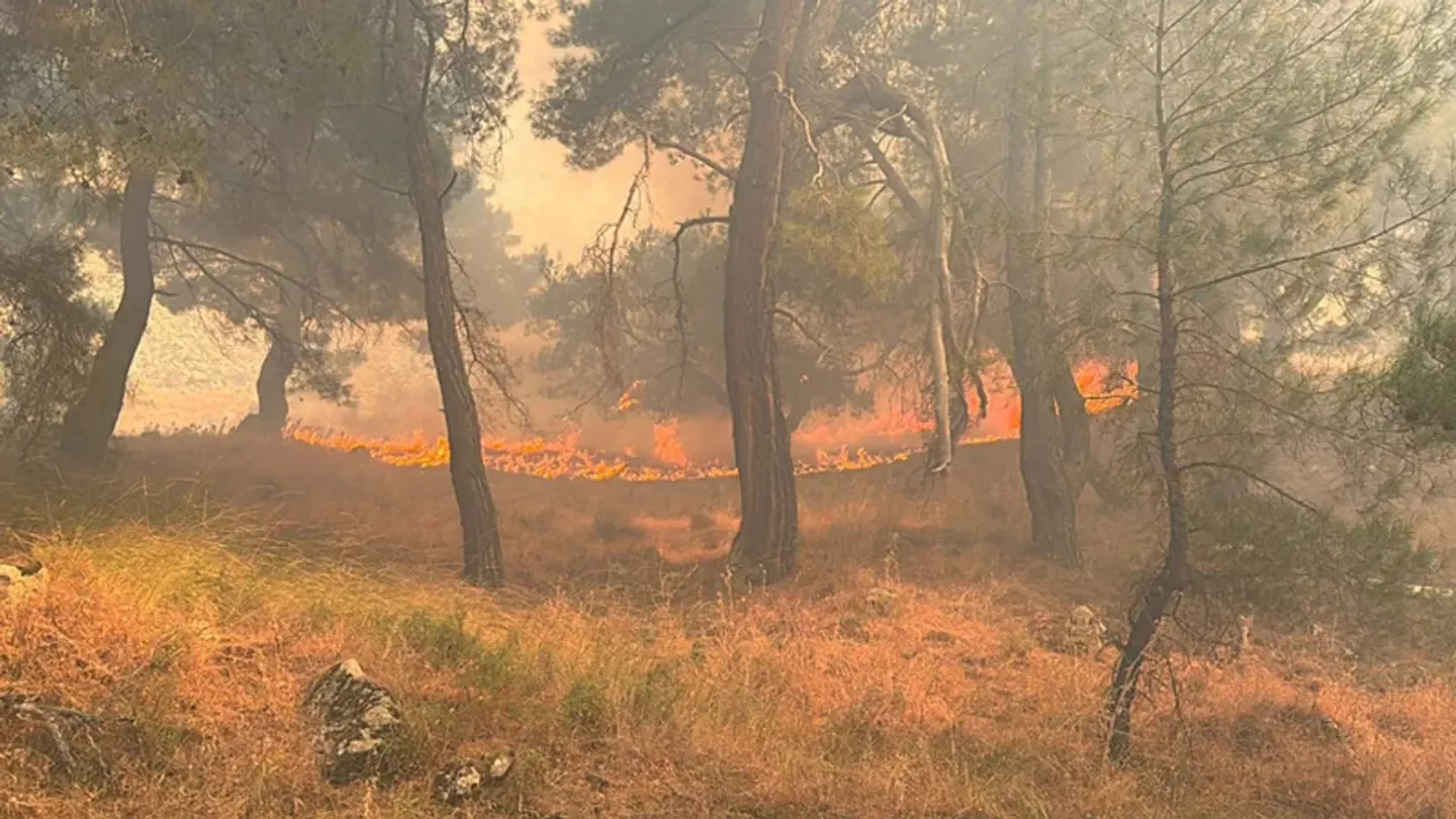 SON DAKİKA: Balıkesir'deki yangın İzmir sınırına sıçradı: Gazeteciler alevlerden zor kurtuldu